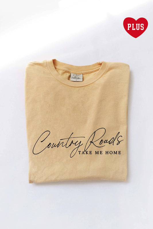 COUNTRY ROADS Plus Mineral Graphic Top: GOLDEN / 2X
