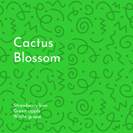 Cactus Blossom